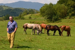 Маршал и лошади